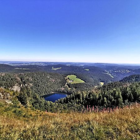 Residenz Grafenmatt "Abendsonne" Διαμέρισμα Feldberg  Εξωτερικό φωτογραφία