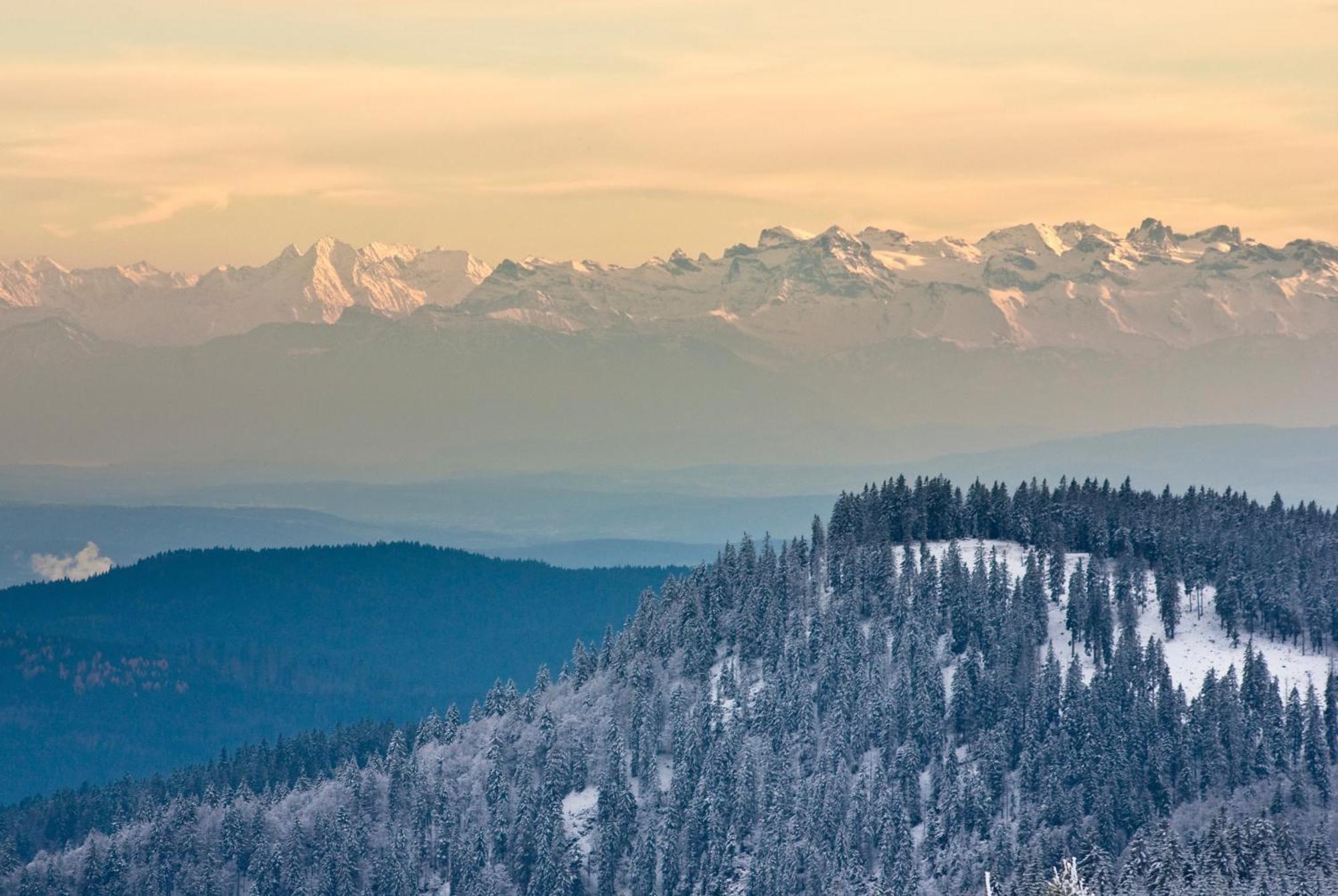 Residenz Grafenmatt "Abendsonne" Διαμέρισμα Feldberg  Εξωτερικό φωτογραφία